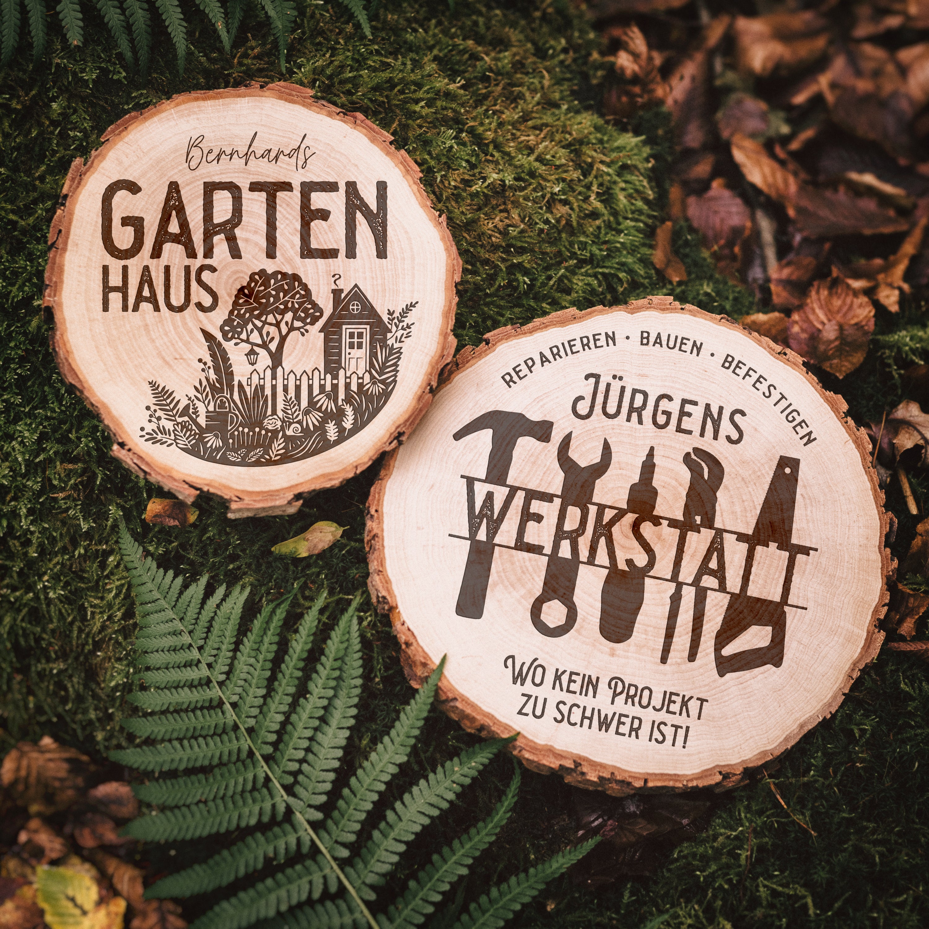 Baumscheibe - Werkstatt oder Gartenhaus