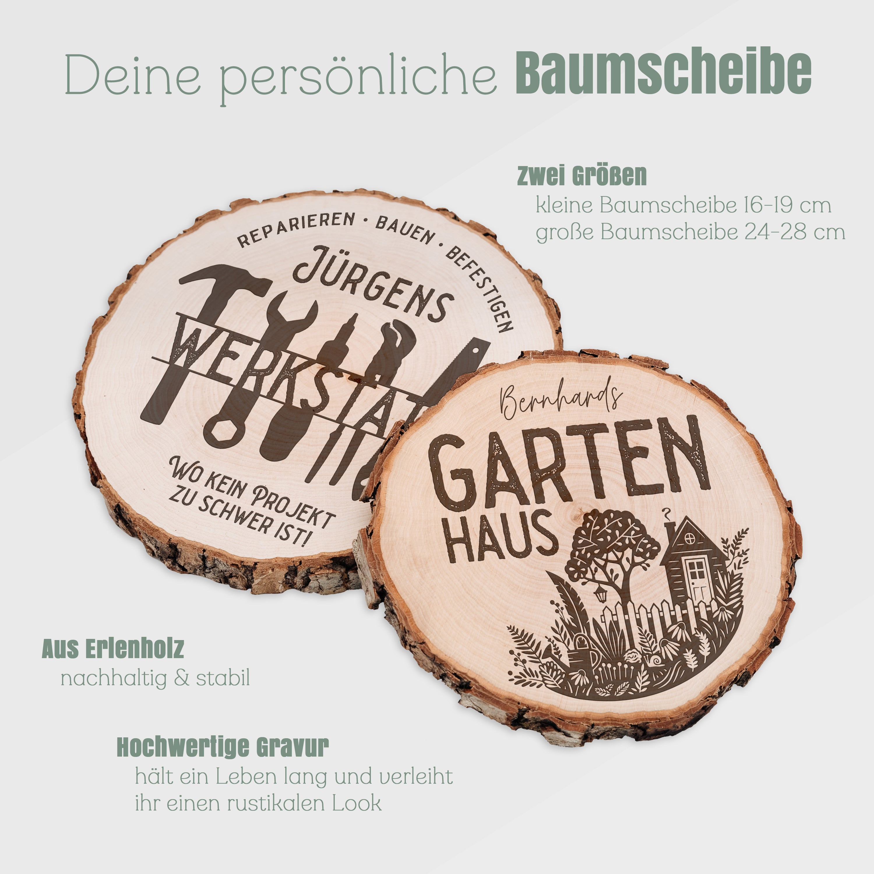 Baumscheibe - Werkstatt oder Gartenhaus