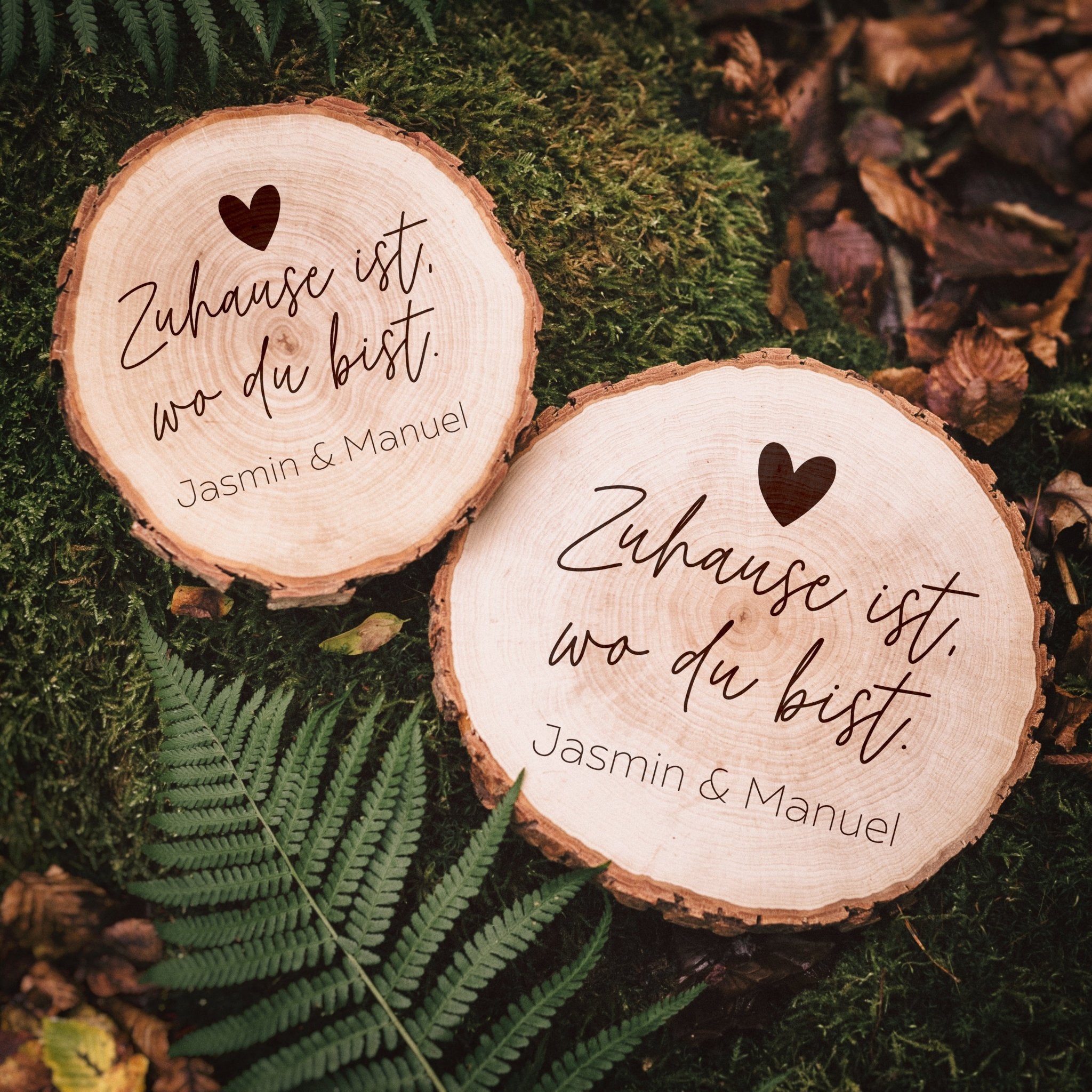 Baumscheibe - Zuhause ist, wo du bist - Abenteuernah