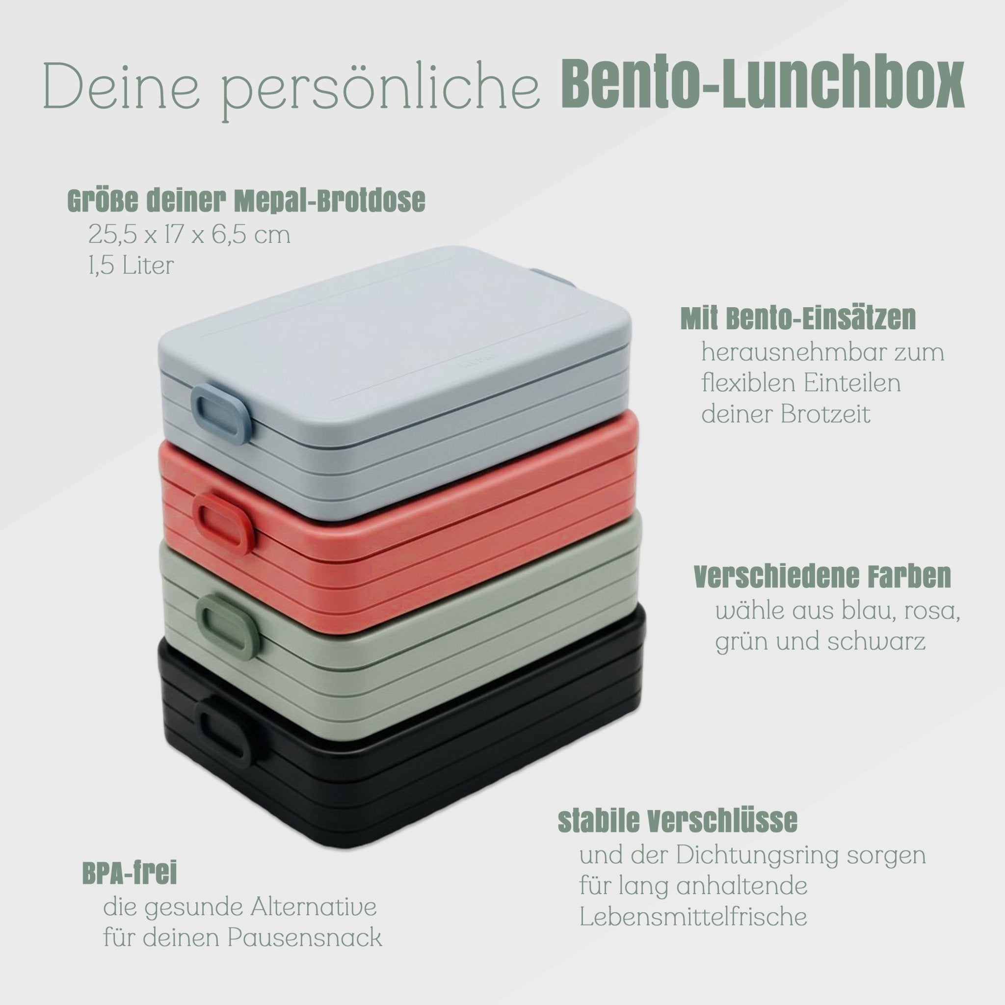 Mepal Brotdose mit Bentoeinsatz - Papa X - Abenteuernah