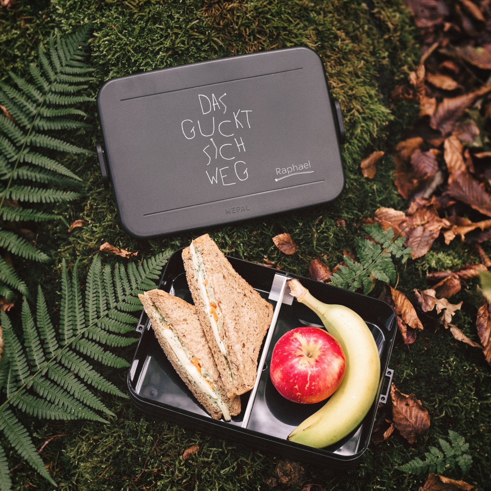 Mepal Brotdose schwarz XXL - Das guckt sich weg - Abenteuernah