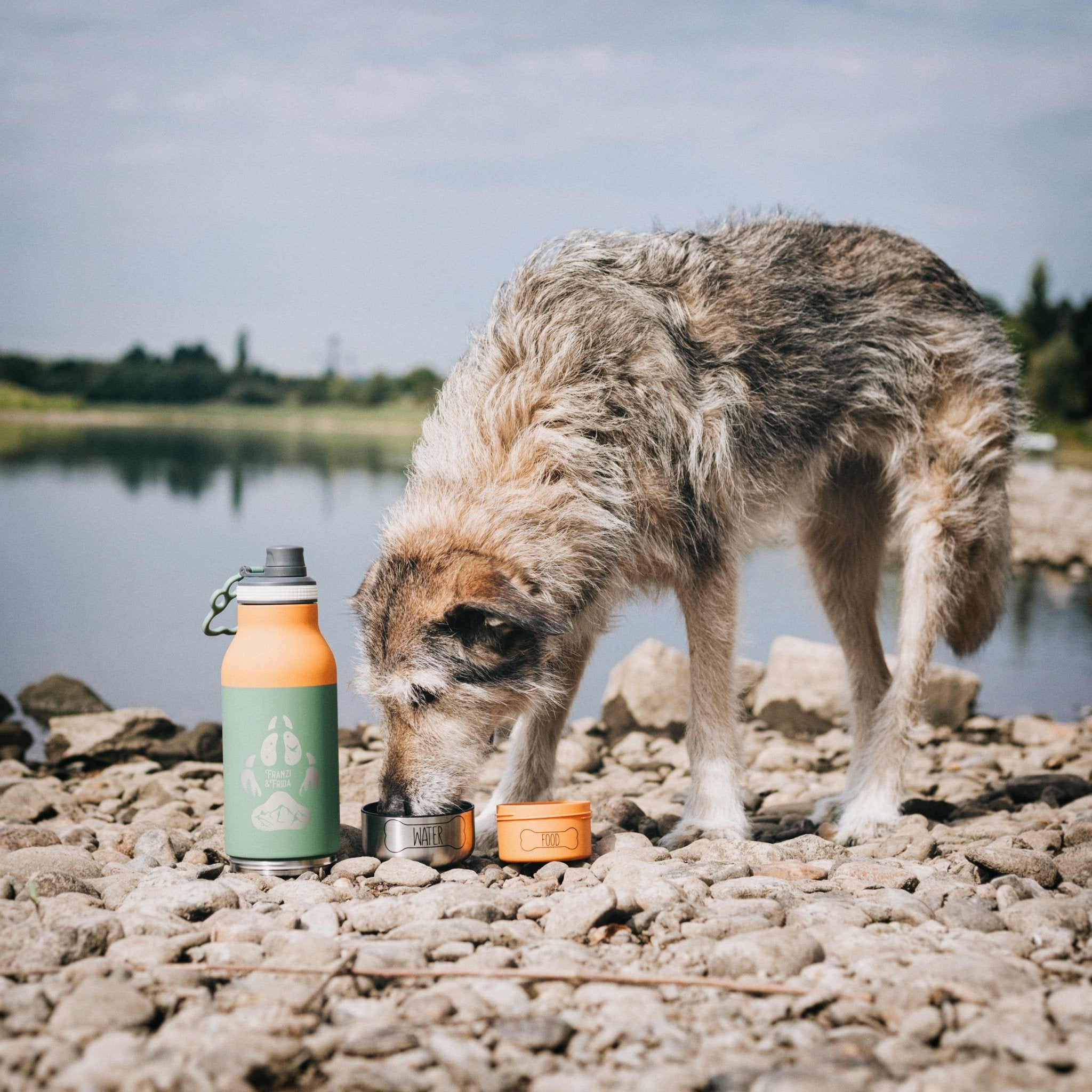 Trinkflasche Buddy - Hundepfote - Abenteuernah
