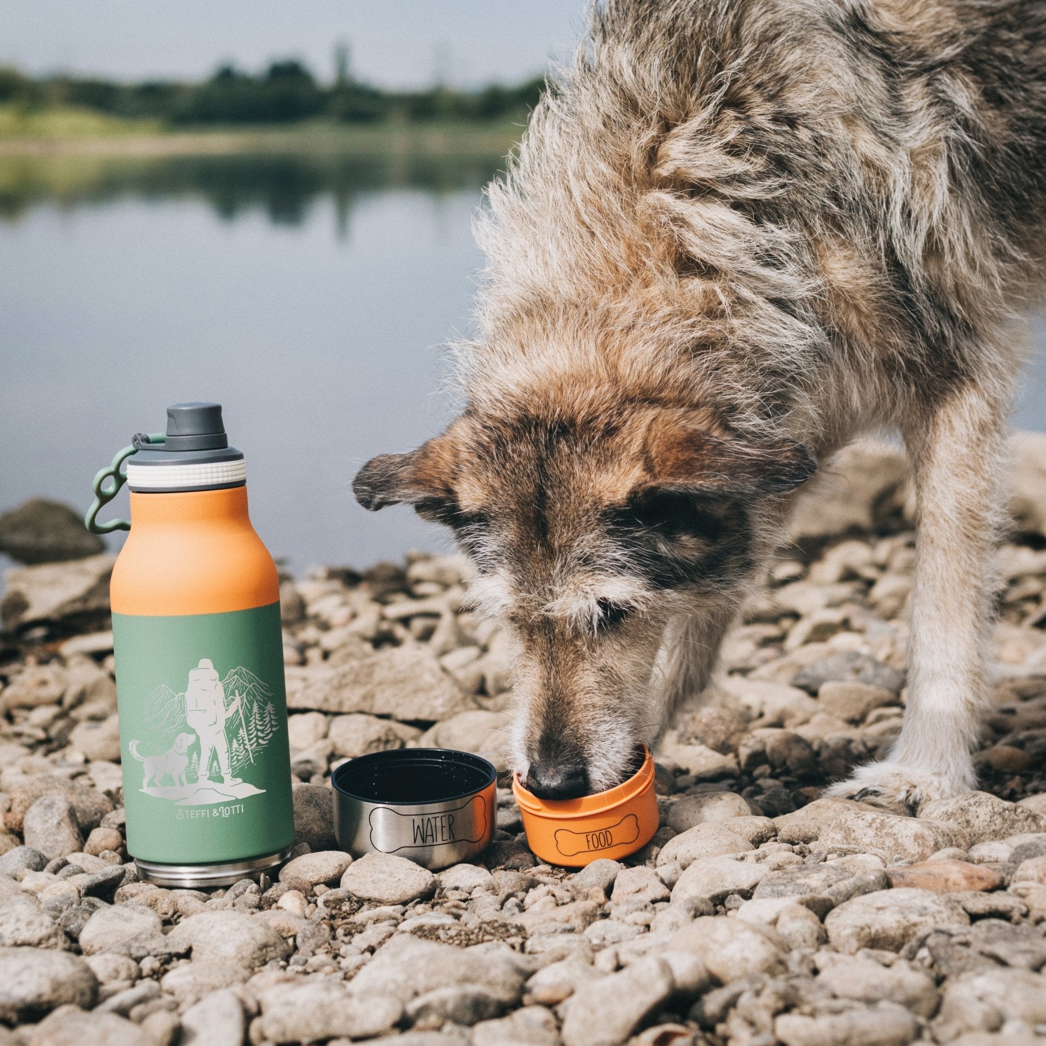 Trinkflasche Buddy - Wanderer mit Hund - Abenteuernah