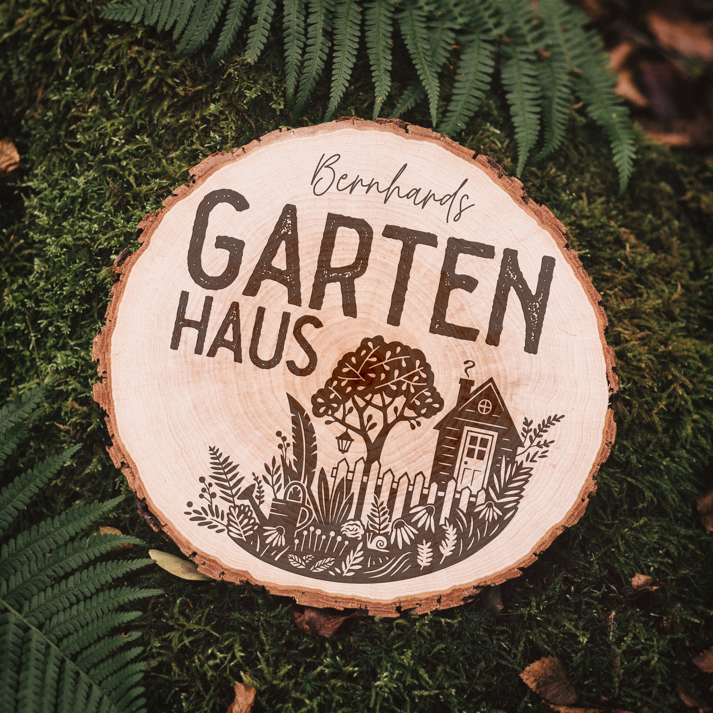 Baumscheibe - Werkstatt oder Gartenhaus