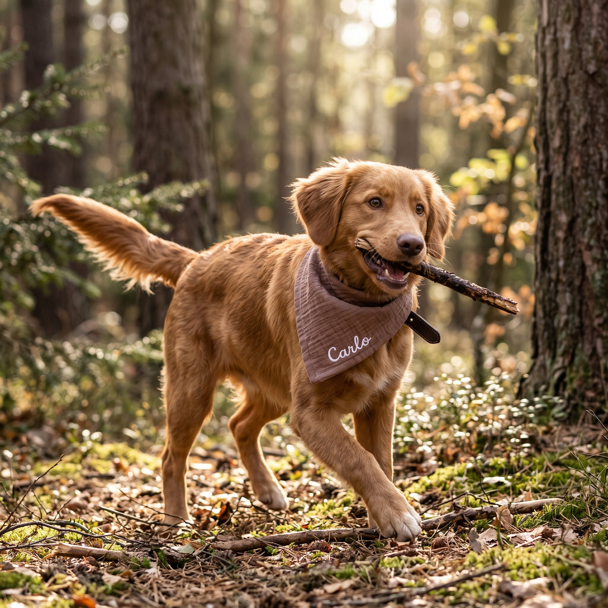 Hundehalstuch personalisiert