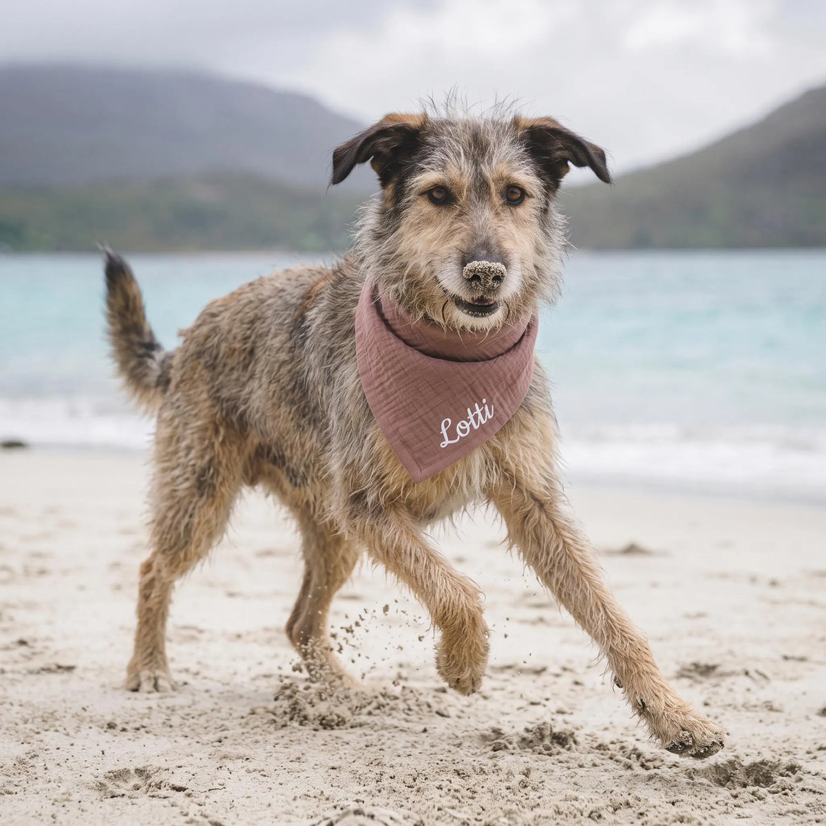 Hundehalstuch personalisiert