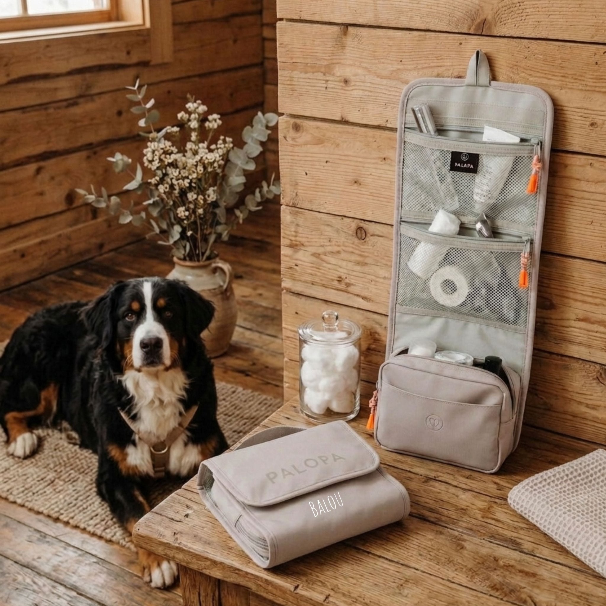 Palopa Hunde Erste - Hilfe - Set - Wunschname - Abenteuernah